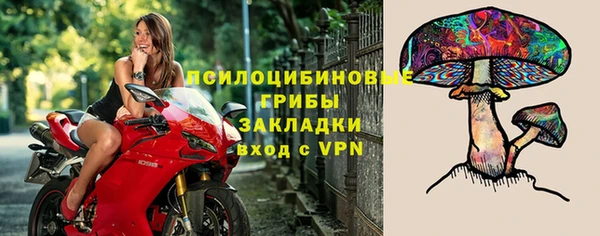 бошки Алексеевка