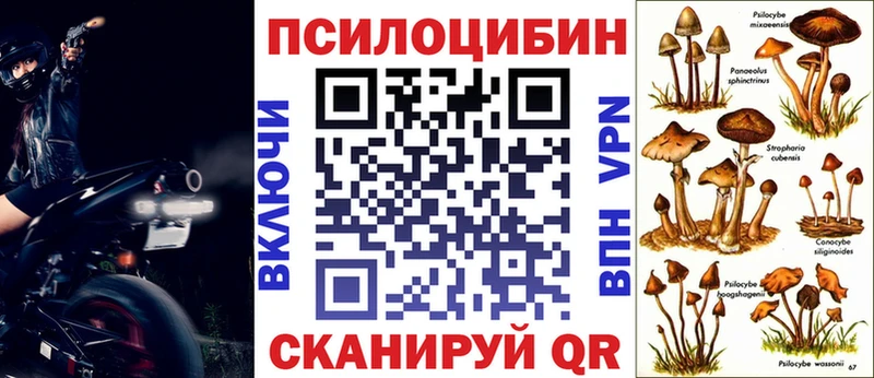 omg tor Лабытнанги Галлюциногенные грибы Magic Shrooms