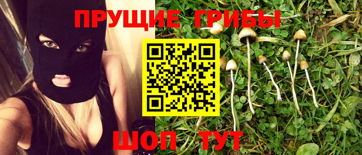 Галлюциногенные грибы Cubensis Лабытнанги