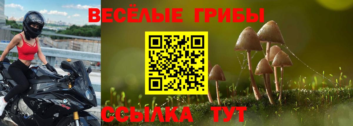 Лабытнанги  Галлюциногенные грибы Psilocybine cubensis  Псилоцибиновые грибы MAGIC MUSHROOMS  Вход с VPN 